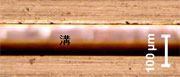 表面圖片 (images)